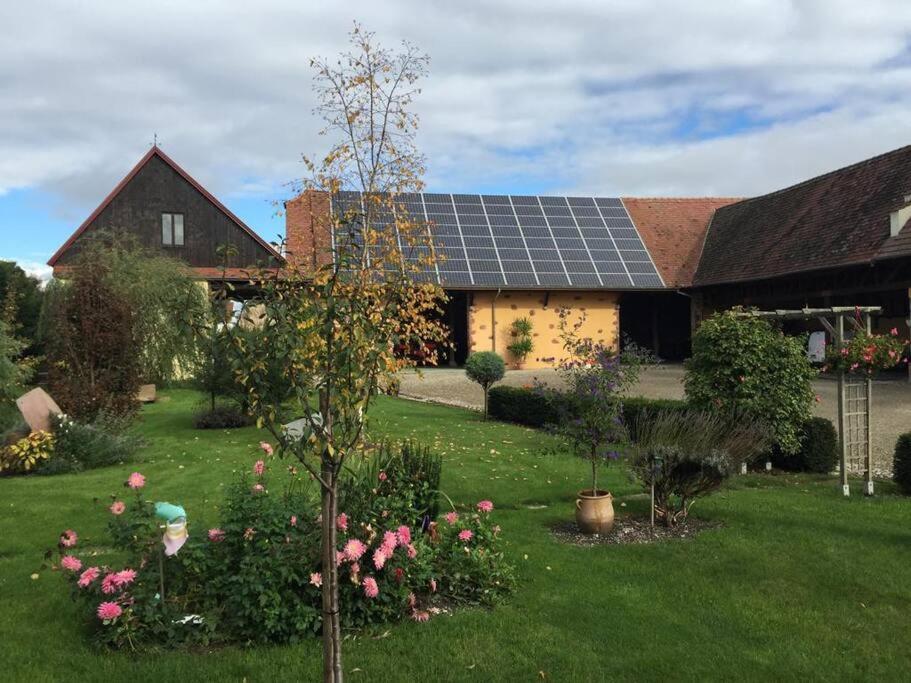 Gite La Maison De Jules Muntzenheim Ngoại thất bức ảnh