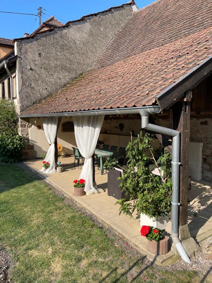 Gite La Maison De Jules Muntzenheim Ngoại thất bức ảnh