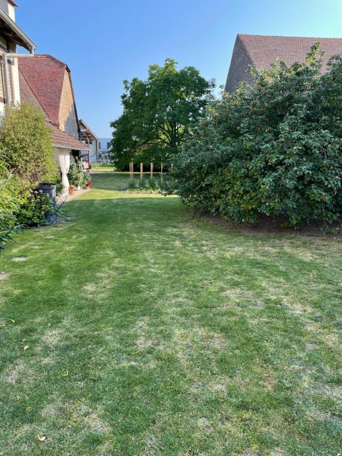 Gite La Maison De Jules Muntzenheim Ngoại thất bức ảnh